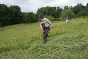 Haymaking in full swing with a scythe