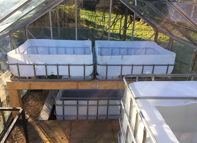 Setting out the aquaponics greenhouse