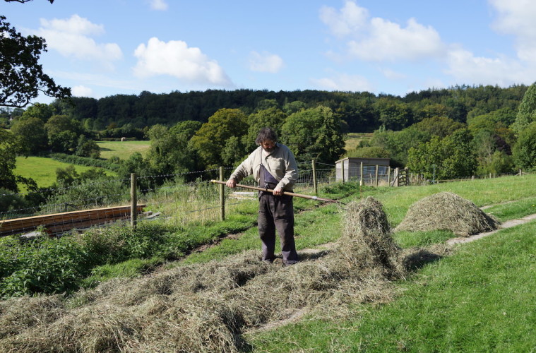 Haymaking by hand: a guide from Indie Farmer