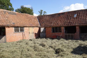 Spreading the hay