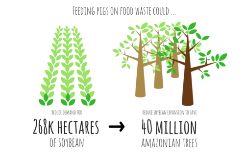 reduce demand for soya - save trees