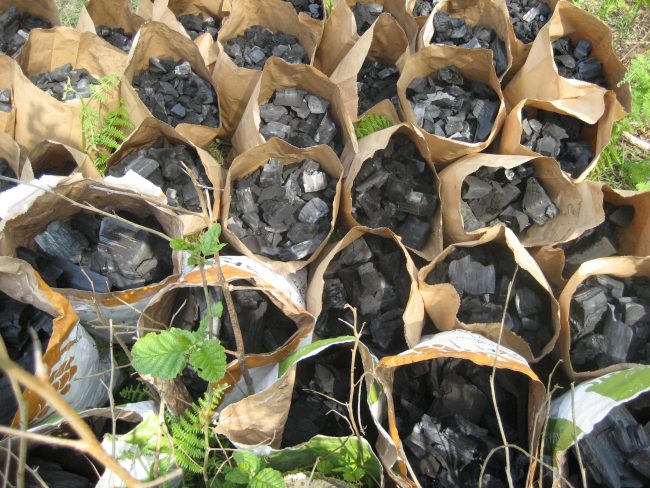 Biochar on trial: what scientific research tells us so far