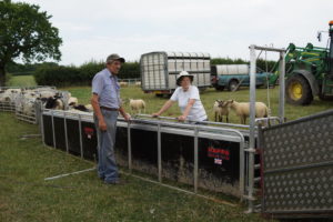 The 'back office' of the sheep shearing team