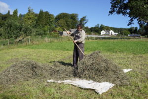 Turning of the hay in action