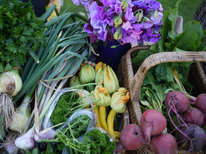 Vegetable harvest from Steepholding, Greenham Reach