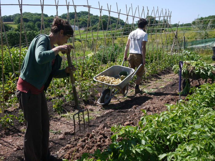 Volunteers working at Steepholding, Greenham Reach