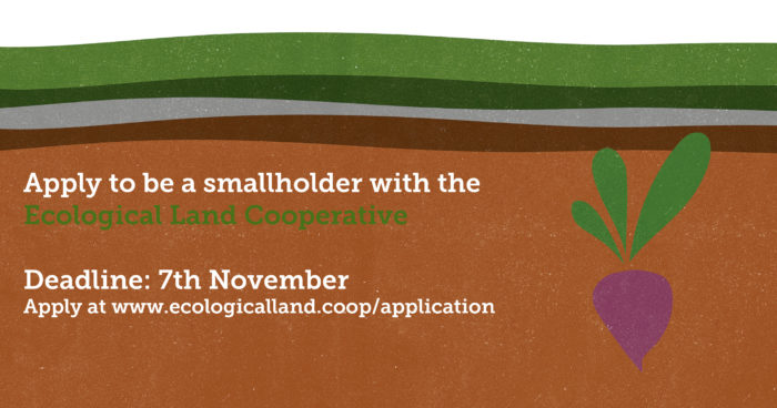 Seeking future farmers for East Sussex: apply to be a smallholder with the Ecological Land Cooperative