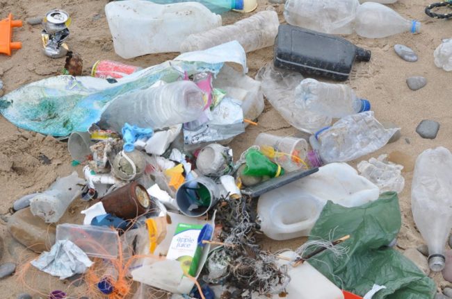 Record numbers clean up in the Marine Conservation Society’s 25th Great British Beach Clean