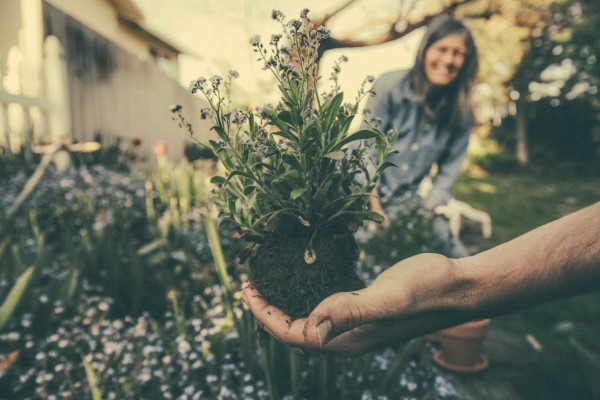 How to start a community garden - Part 1