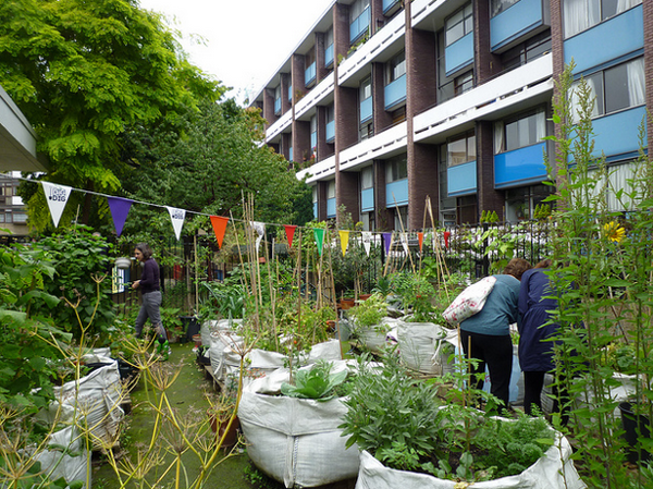 Get inspired to grow your own food: visit gardens producing food in cities