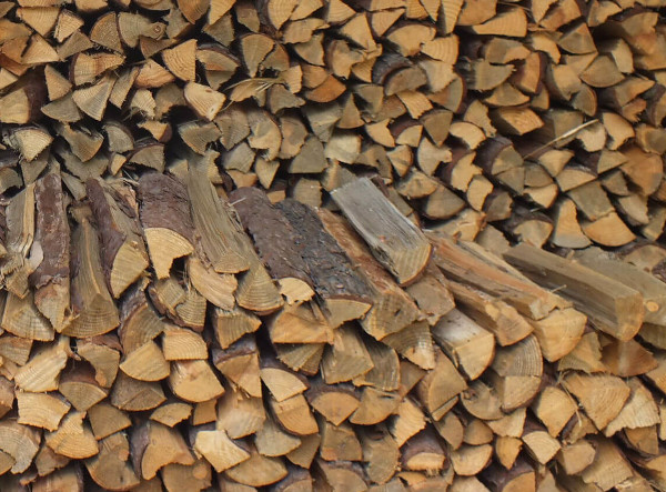 Can burning biomass be sustainable?