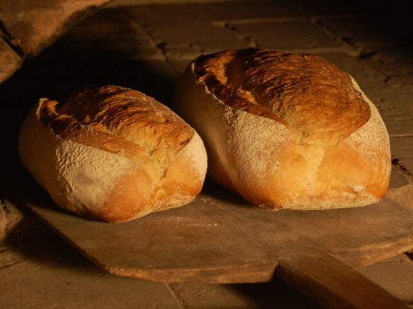  Breadmaking representative image