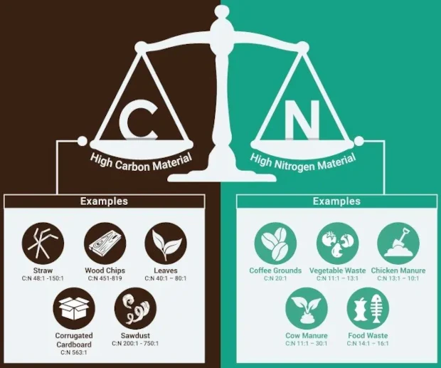 Composting: explaining the carbon-nitrogen ratio