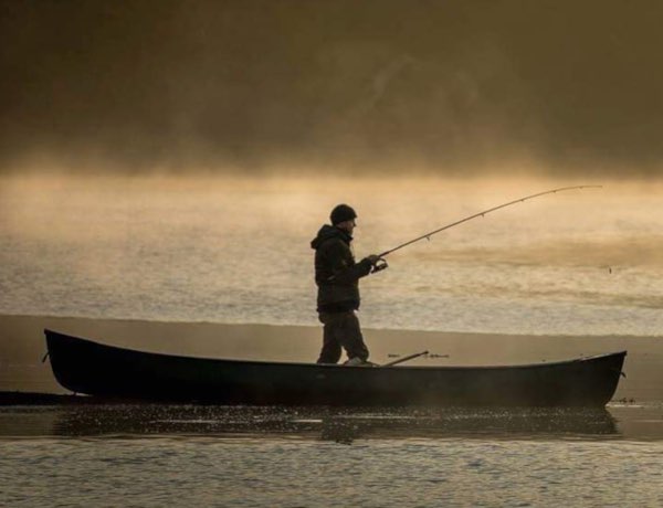 How perpetual GDP growth is killing fishing