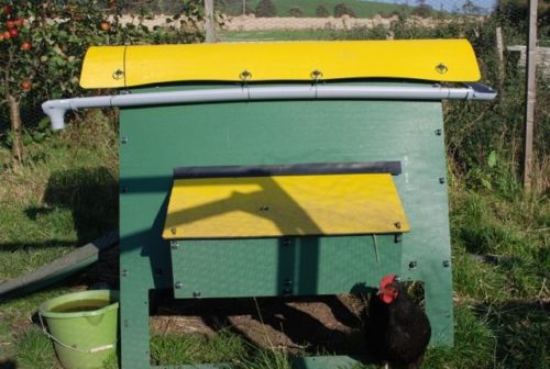 Recycled plastic chicken house