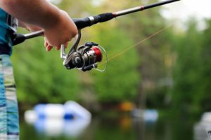 A rod and fixed-spool reel: some of the gear you'll need for fishing for food