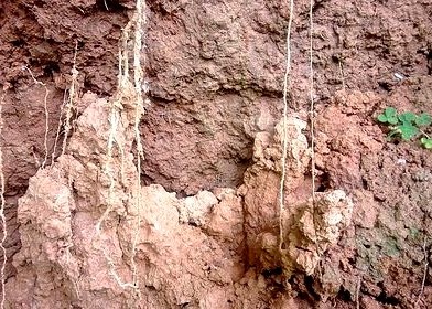 Natural clay deposits
