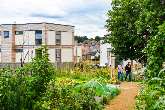 cohousing-lilac