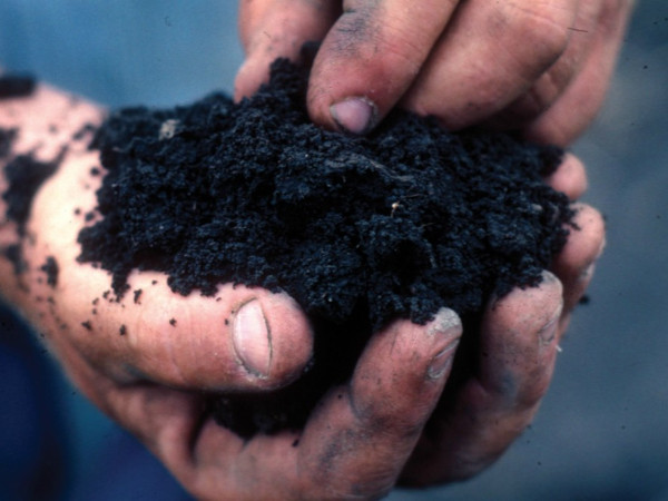  Composting representative image