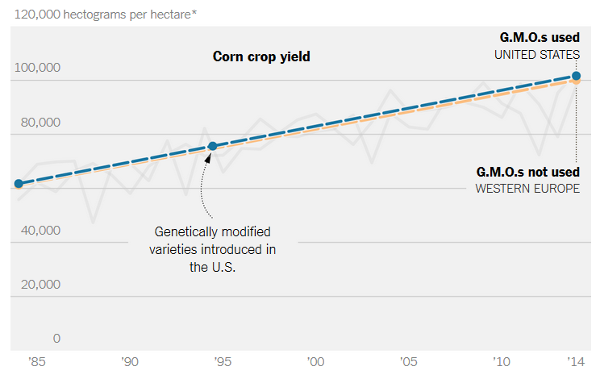 corn-gm