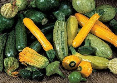 You can harvest a multitude of vegetables from your greenhouse in June