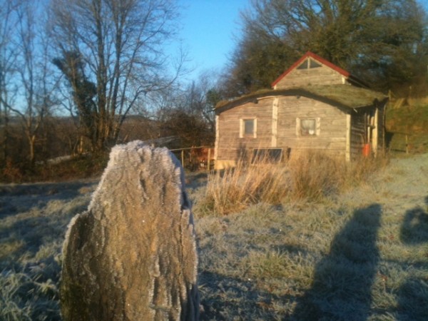 One Planet Development opportunity next to Lammas eco-village in Wales