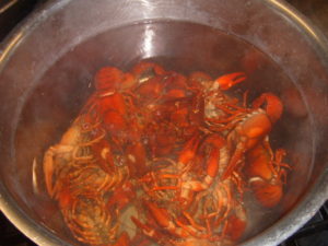 Crayfish boiling in a pan