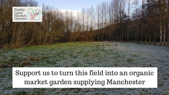 The field which could become a market garden for Manchester
