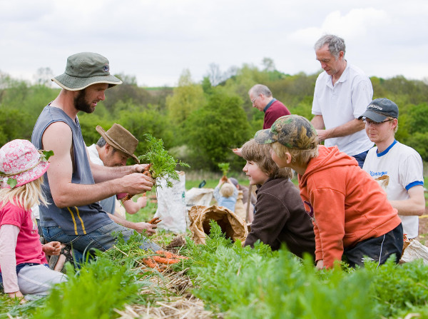  Community-supported agriculture representative image