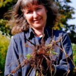 Teresinha Roberts with roots of the madder plant for dyeing
