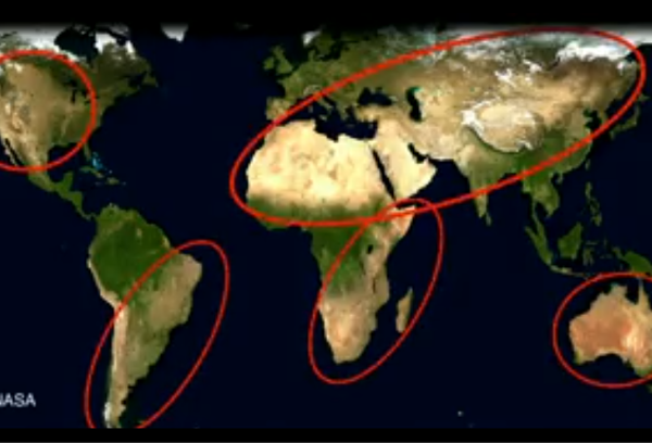 Can constantly-moving livestock help prevent desertification?