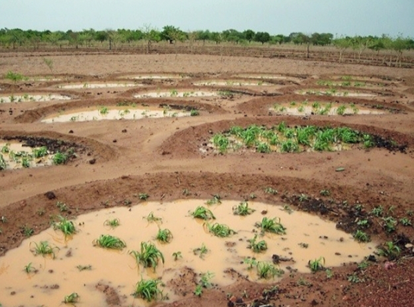 Local, community-based measures to prevent drought in arid regions