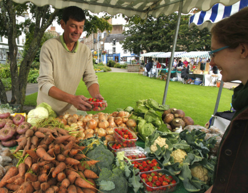 Small-scale production is key to a small farm future