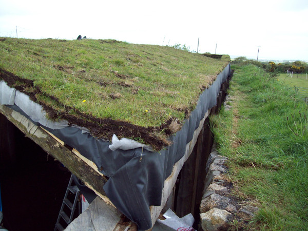 Roof - with wood stove flue emerging