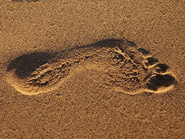  Eco & carbon footprints representative image