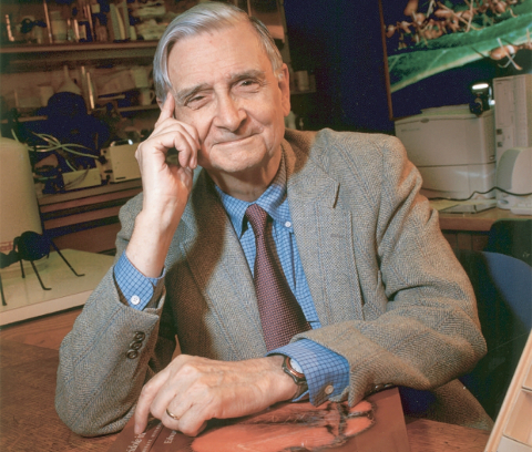 Edward O. Wilson believes we should be alarmed by the current rate of extinction