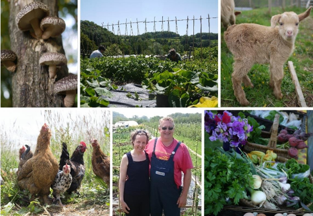 Do you know anyone who might want to donate some land for a sustainable, affordable smallholding legacy?