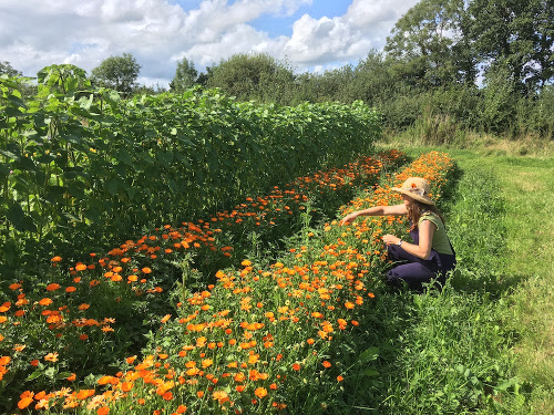 Ecological Land Co-op growing in action