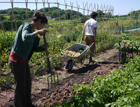 Agroecology in action on a ecological smallholding