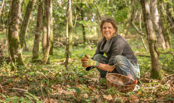 The surprising benefits of harvesting wild foods – more than you’d expect!