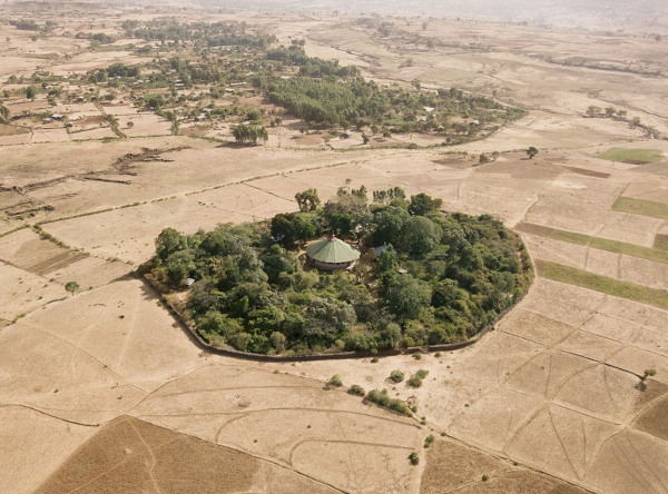 Sacred forests of Ethiopia: how they can be recreated anywhere