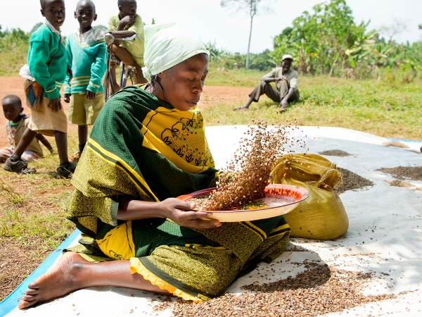  Fairtrade representative image