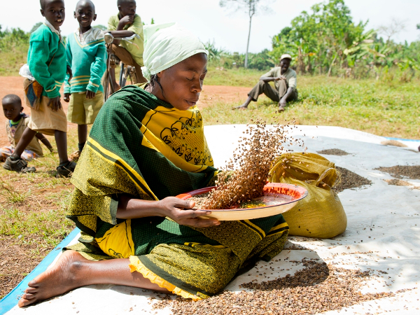 Organic and Fair Trade Cotton  Watch the story behind People Tree products  