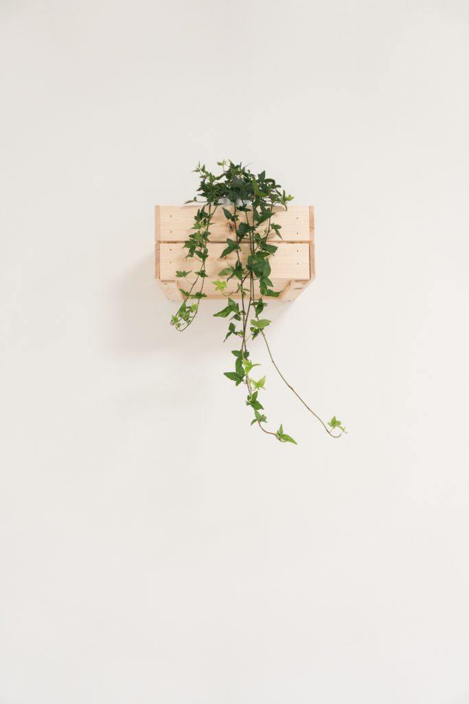 A wall-mounted planter