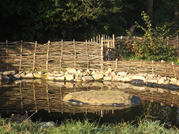 Keeping the chickens out of the garden with a woven birch fence