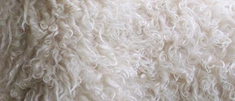 Fine mohair wool