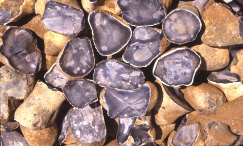 Flint Knapping: A Guide to Making Your Own Stone Age Tool Kit See more