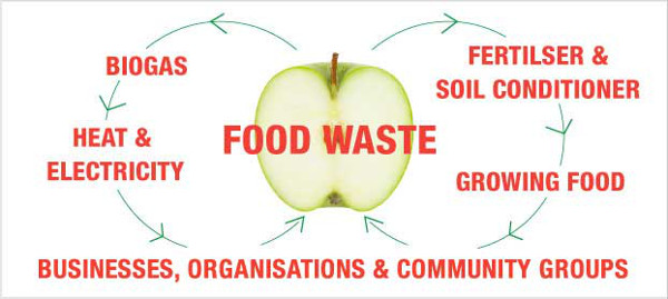 food-waste