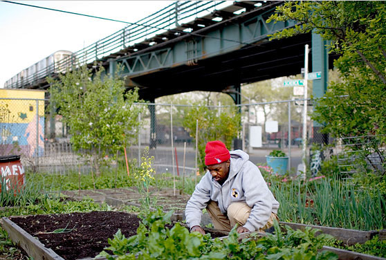 Urban one-planet development: how can cities reduce their ecological footprint?