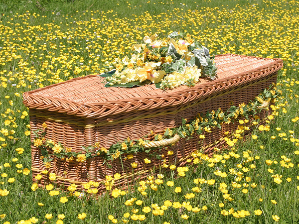  Green funerals representative image